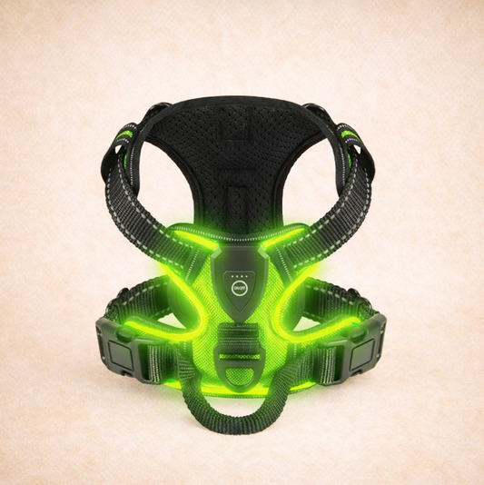 Le harnais lumineux